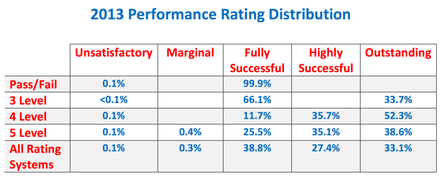 2013 Performance Rating Distribution